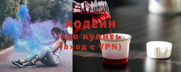 a pvp Ельня
