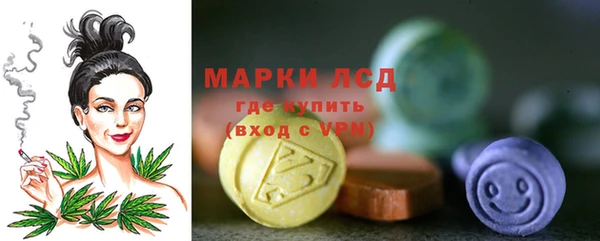 a pvp Ельня