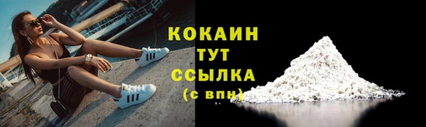 a pvp Ельня