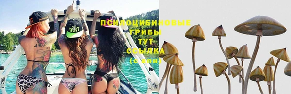 гашишное масло Елизово
