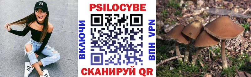 Галлюциногенные грибы мухоморы  Ессентуки 